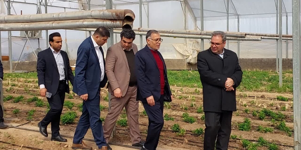 بازدید از واحدهای تولیدی بهره‌مند از تسهیلات بنیاد برکت