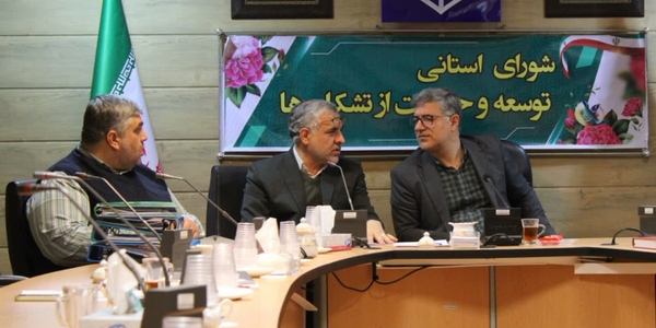 بررسی صدور و تمدید مجوز سمن‌ها و ارائه راهکار حمایتی برای حل چالش حسابرسی تشکل‌ها