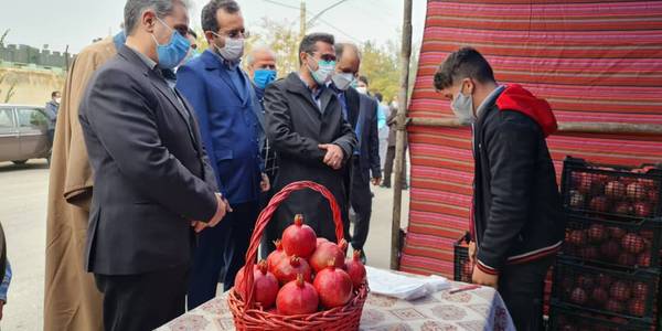 حضور ناظری فرماندار شهرستان محلات، پاکپور مدیرکل دفتر روستایی و امور شوراهای استانداری ، مرزبان مدیرکل میراث فرهنگی، گردشگری و صنایع دستی در دومین دوره جشنواره شکرانه برداشت انار خورهه و کلنگ زنی محل احداث بازارچه سنتی روستای خورهه محلات