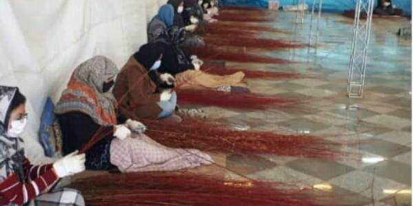 بسته بندی و صادرات بید قرمز روستای بزیجان