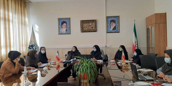 طرح ملی شبکه تعاون وتجارت ایران ویژه بانوان در استان اجرایی می شود