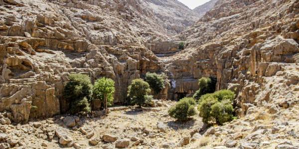 هفتاد قله اراک، سومین خاستگاه تنوع زیستی کشور