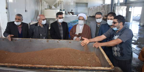 بازدید ناظری فرماندار شهرستان محلات از کارگاه حلواسازی سینجلی