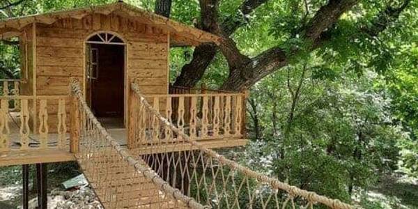 مدیرکل میراث‌فرهنگی، گردشگری و صنایع‌دستی استان :
 ۲۰ میلیارد ریال برای ساخت نخستین مجموعه خانه درختی در روستای وفس سرمایه‌گذاری شد