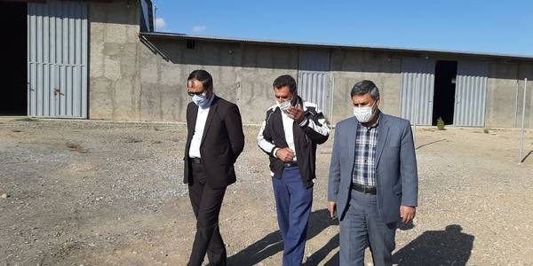 بازدید فرماندار از یک واحد دامداری در شهرستان