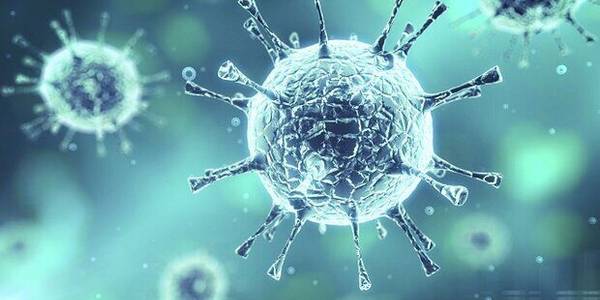 تمامی شهرستان‌های استان مرکزی در وضعیت آبی کرونایی قرار گرفت