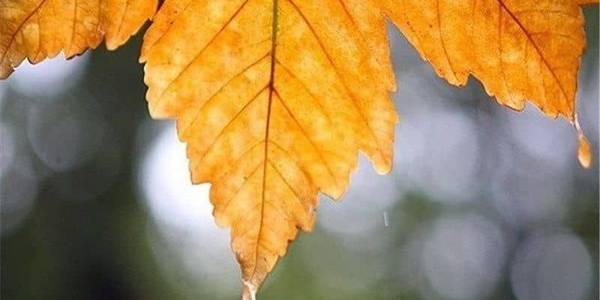 ✅هشدار هواشناسی