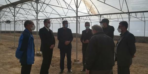 بازدید از یک واحد گلخانه: