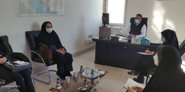 استفاده از ظرفیت شورای شهر وبخش در حوزه زنان وخانواده در استان