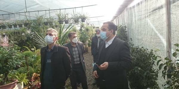 بازدید از یک واحد گلخانه ای