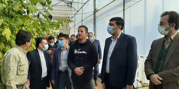 بازدید میدانی از روستای انجدان و مجموعه گلخانه ای روستای امان آباد شهرستان اراک