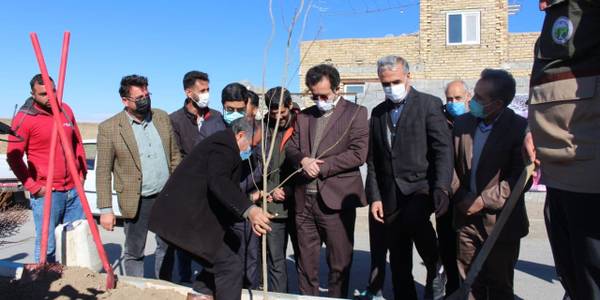 پویش مردمی نهالکاری با شعار ایران سرسبز هر ایرانی یک درخت برگزار گردید