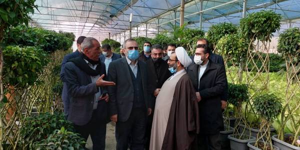 بازدید دکتر مخلص الائمه استاندار مرکزی از گلخانه مجتبی کرمعلی