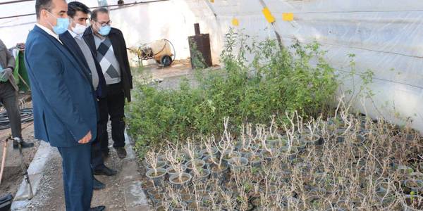 بازدید از مرکز پرورش گل و گیاه شهرداری تفرش