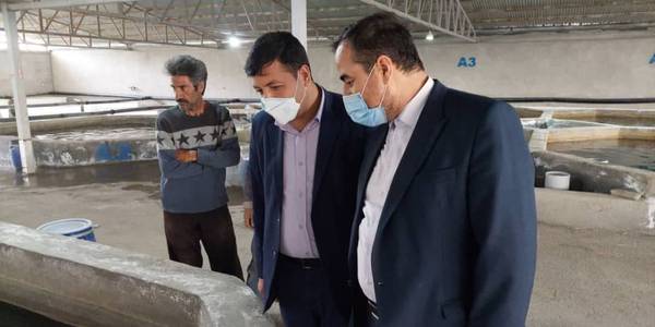 بازدید عبدالرضا حاج علی بیگی فرماندار شهرستان تفرش به همراه بخشدار مرکزی از مجتمع پرورش ماهیان خاویاری طریزآباد.