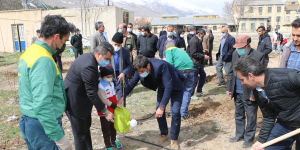 کاشت بیش از هزاران نهال در شهرستان شازند و همچنین کاشت نهال در منطقه گردشگری عباس آباد و کارخانه قند شازند