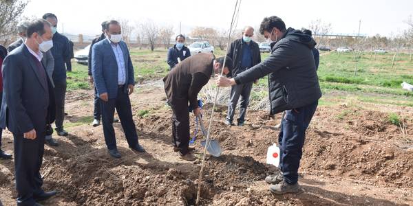 مراسم درختکاری توسعه ۸ هکتار فضای سبز تصفیه خانه فاضلاب محلات همزمان با فرارسیدن هفته منابع طبیعی برگزار گردید.