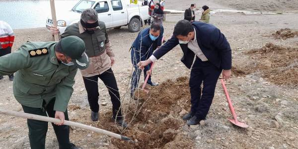 کاشت نهال در هفته درختکاری در محدوده نقره کمر با حضور عبدالرضا حاج علی بیگی فرماندار شهرستان تفرش و تعدادی از مسئولان.