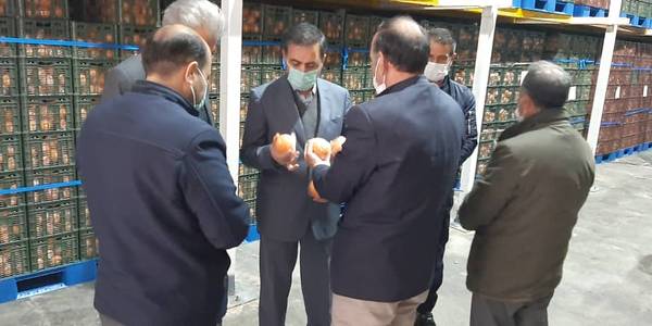 بازدید از محل ذخیره سازی میوه تنظیم بازار ایام پایانی سال وایام نوروز.