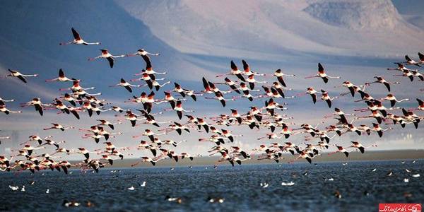 دیدنی ترین اماکن گردشگری شهرستان اراک