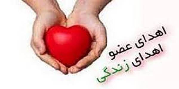 اهدای عضو بار دیگر زندگی بخشید-دیدار فرمانداران شهرستان های خمین و شازند با  2 خانواده اهدا کننده عضو