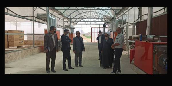 بازدید از پروژه گلخانه‌ای کشت هیدروپونیک