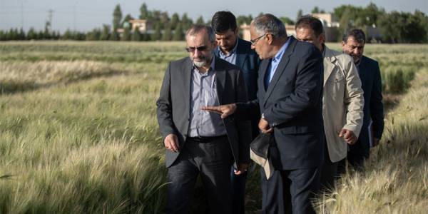 افزایش بهره‌وری در کشاورزی منوط به توسعه فناوری است