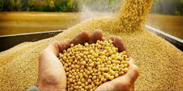 دامداران و مسئولان متخلف در حوزه دریافت و توزیع نهاده های دامی را مستقیما به فرماندار شهرستان گزارش دهید -برخورد جدی با خروج غیرقانونی هرگونه نهاده دامی