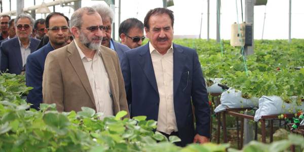 بازدید استاندار مرکزی به همراه معاون هماهنگی امور اقتصادی استاندار، سرپرست فرمانداری ویژه شهرستان ساوه و جمعی از مدیران از  بزرگترین شهرک گلخانه ای خصوصی کشور در شهر آوه