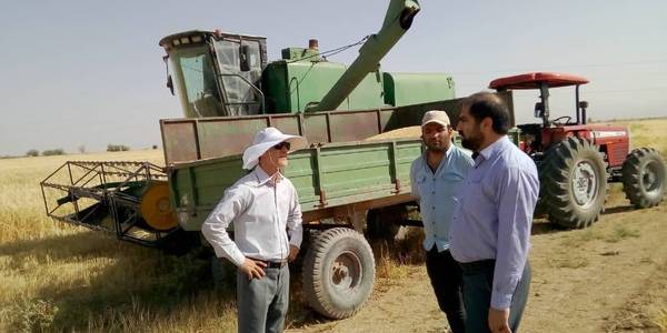 بازدید فرماندار و مدیر جهادکشاورزی شهرستان فراهان از کمباین های در حال برداشت غلات و توصیه به جلوگیری از ریزش گندم و نصب برچسب معاینه فنی و بازدید از نانوایان شهر تلخاب