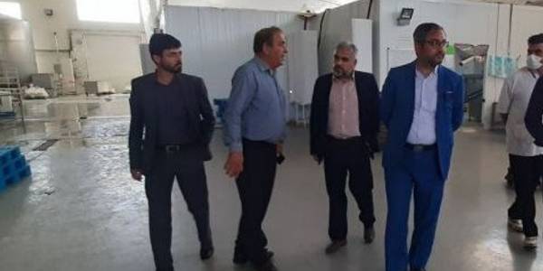 بازدید فرماندار کمیجان از شرکت شگالیو