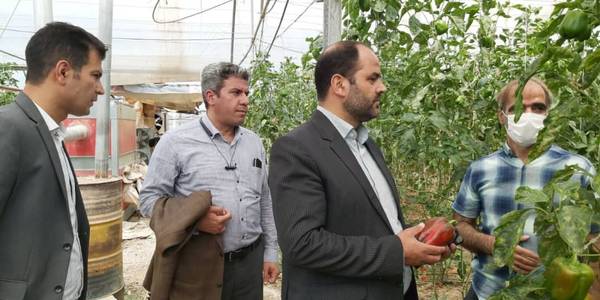 ️ رفع موانع تولید واحدهای مستقر در شهرستان آشتیان