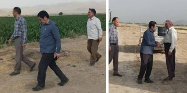 بازدید فرماندار خنداب از اراضی کشاورزی گندم کاران