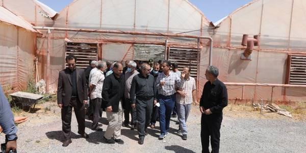 بازدید از شهرک گل و گیاه خمین