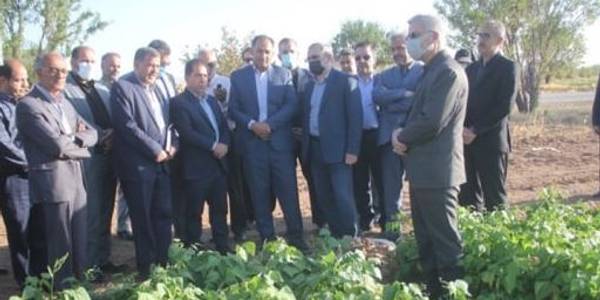 استاندار از پردیس تحقیات و آموزش لوبیای شهرستان خمین بازدید