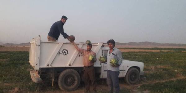 "کام زائران اربعین حسینی در مرز مهران با سوغات شهرستان خنداب شیرین شد"