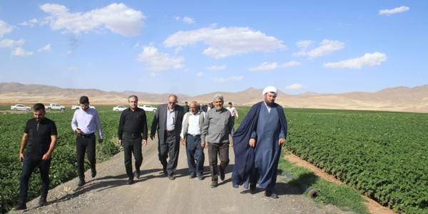 بررسی میدانی استعدادهای کشاورزی بخش نوبران و بازدید از اراضی تحت کشت در گزل دره.