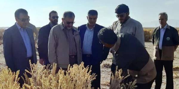 مقابله با بیابان زایی از برنامه‌های اولویت دار استان مرکزی است