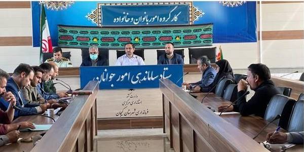 برگزاری جلسه کارگروه تخصصی امور زنان و خانواده شهرستان کمیجان