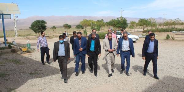 بررسی میدانی معاون استاندار و فرماندار ویژه شهرستان ساوه از مجتمع کشت و صنعت کوثر ساوه