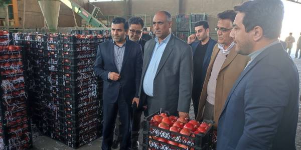 بازدید معاون وزیر جهادکشاورزی و مدیرعامل سازمان مرکزی تعاون روستایی ایران از سردخانه های تعاونی روستایی شهرستان ساوه