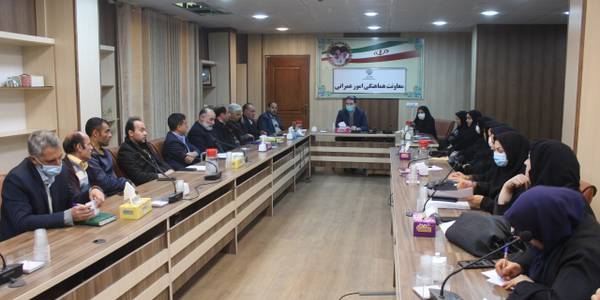 جلسه کارگروه اجتماعی ، فرهنگی ، سلامت ، زنان و خانواده