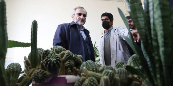 هم‌زمان با پنجمین روز از دهه مبارک فجر انقلاب اسلامی با حضور استاندار مرکزی، نماینده مردم تفرش، آشتیان و فراهان در مجلس شورای اسلامی، معاون هماهنگی امور عمرانی استاندار و فرماندار تفرش، از دپارتمان پژوهش و کسب و کارهای نوین کشاورزی مدرن در مرکز فنی‌ و حرفه‌ای تفرش رونمایی شد.