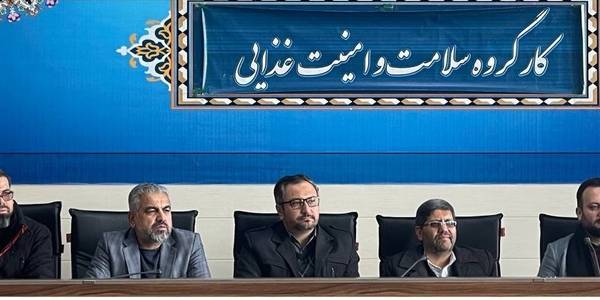 جلسه کارگروه تخصصی امور اجتماعی و فرهنگی شهرستان کمیجان  برگزار شد