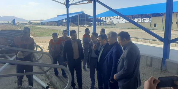 بازدید معاون هماهنگی امور اقتصادی و توسعه منطقه ای استاندار از دامداری گاو شیری زرین خوشه اراک

معاون هماهنگی امور اقتصادی و توسعه منطقه ای استاندار ضمن بازدید از بخش مختلف دامداری از نزدیک در جریان روند کاری و مسائل و مشکلات این کارگاه قرارگرفتند. مسائل و مشکلات بررسی و تصمیمات لازم اتخاذ شد.

دوشنبه 28 فروردین 1402