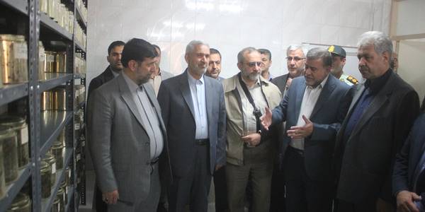 سرپرست وزارت جهاد کشاورزی از پردیس تحقیقات لوبیای شهرستان خمین بازدید کرد