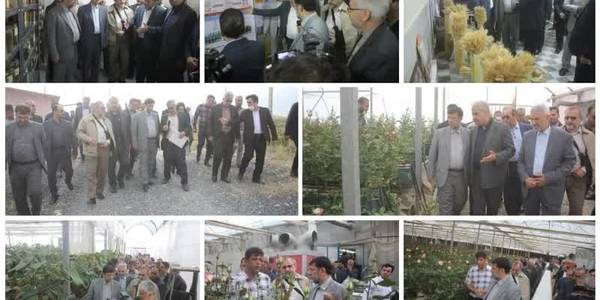حضور سرپرست وزارت جهاد کشاورزی و هیات همراه ،استاندار مرکزی و دیگر مسئولین شهرستانی در بخش کمره