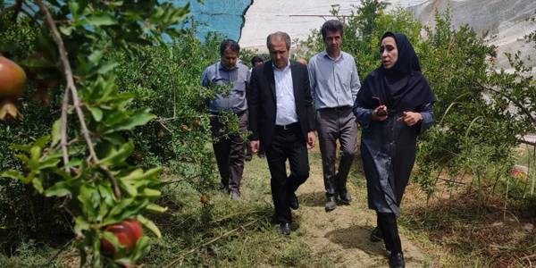 بازدید از پردیس تحقیقات و آموزش انار شهرستان ساوه