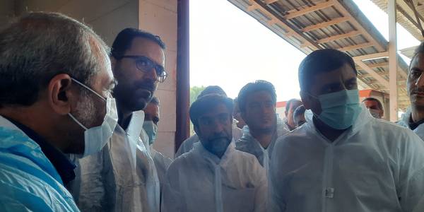 بازدید میدانی از کشتارگاه دام اراک