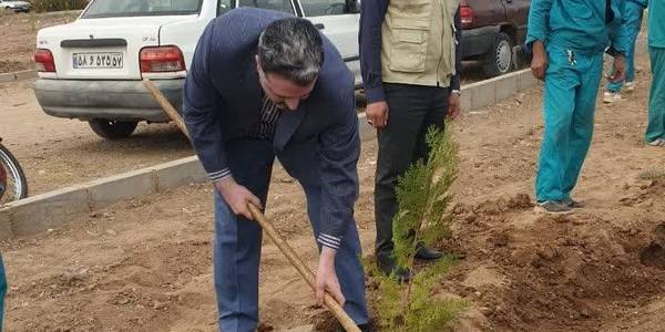 پویش مردمی بذر و درختکاری